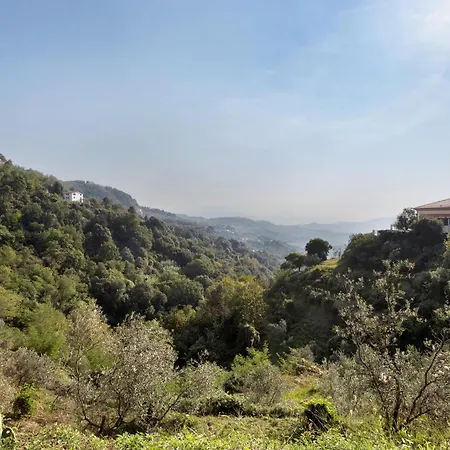 Gli Ulivi Di Montalbano Alloggio per agriturismo