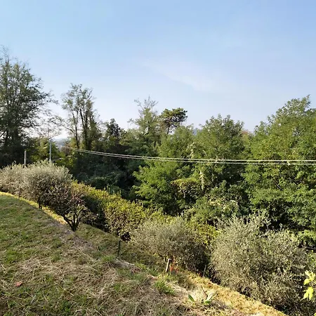 Vakantieboerderij Gli Ulivi Di Montalbano